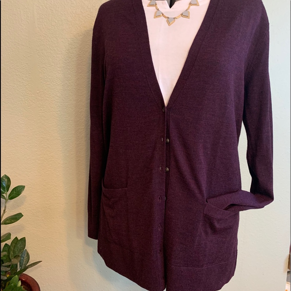 Banana Republic Purple Merino Cardigan